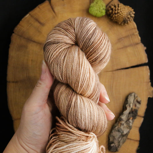 Mushroom Cap - Deluxe MCN Fingering - Off the Beaten Path Collection