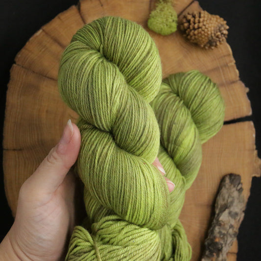 Fiddlehead - Non-Superwash Fingering - Off the Beaten Path Collection