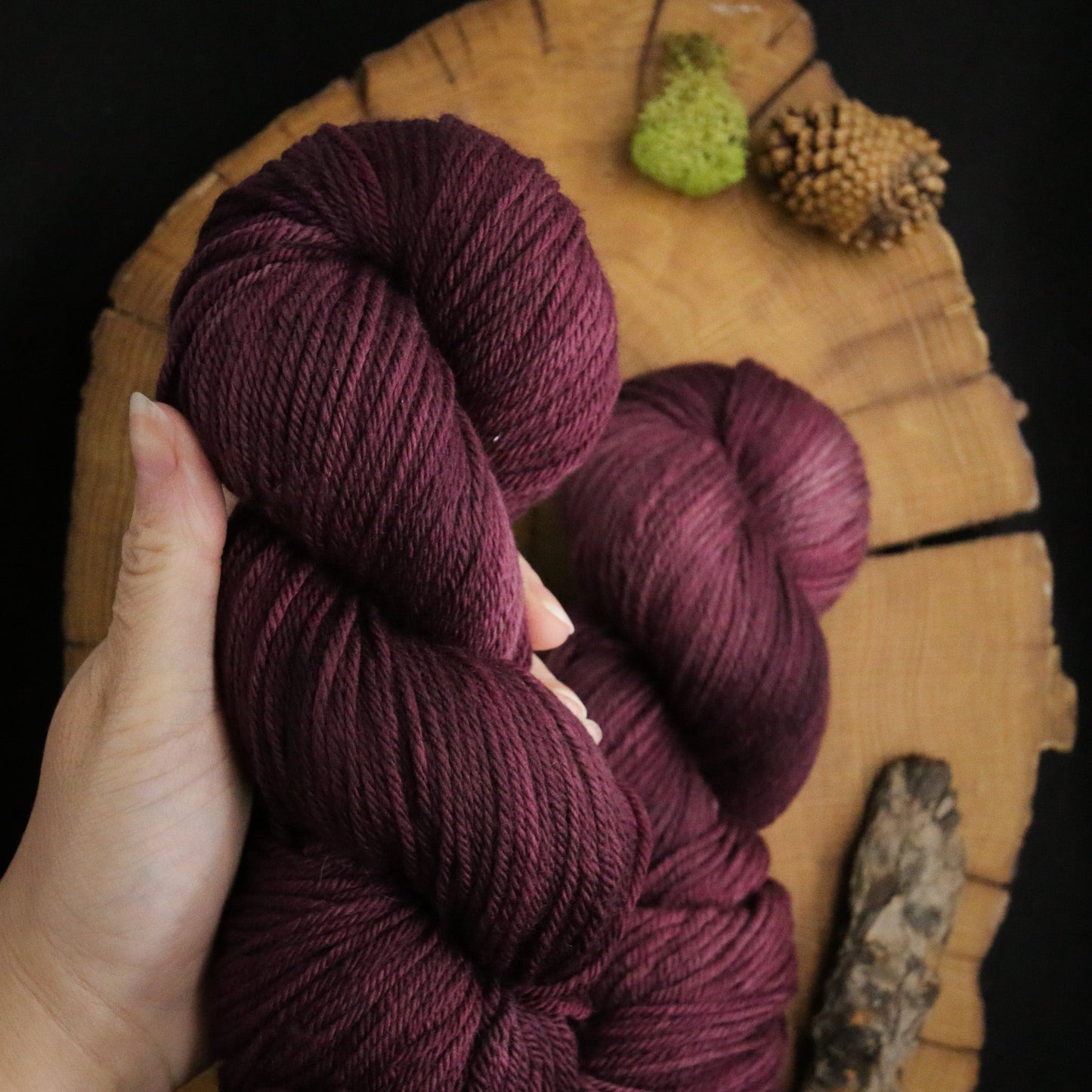 Don't Eat the Berries - Non-Superwash DK - Off the Beaten Path Collection