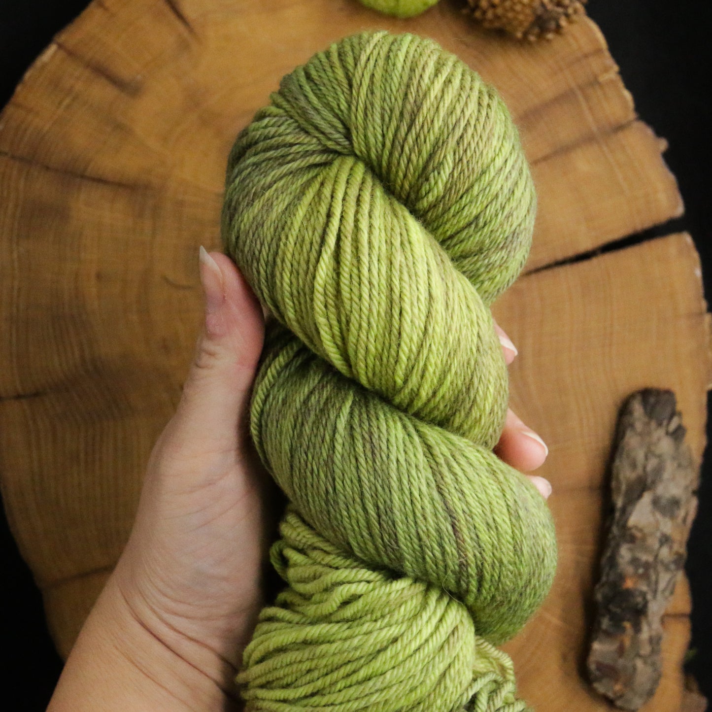 Fiddlehead - Non-Superwash DK - Off the Beaten Path Collection